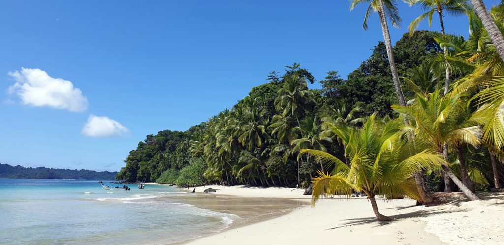 Find your paradise: Here are the 17 best beaches in Panama isla coiba santa catalina beaches in panama