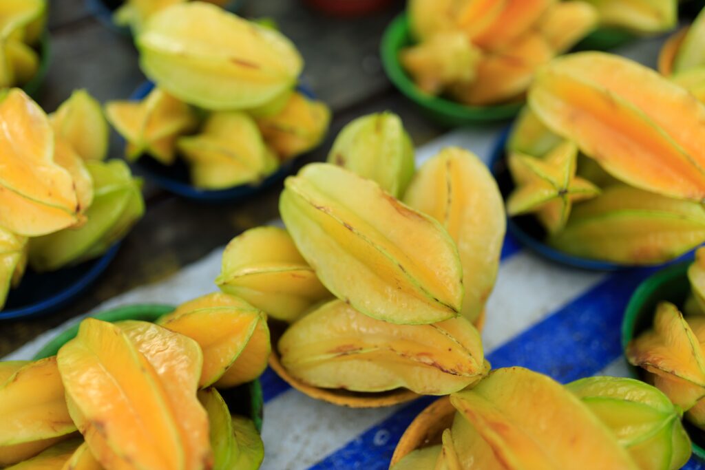 star apple fruit in panama